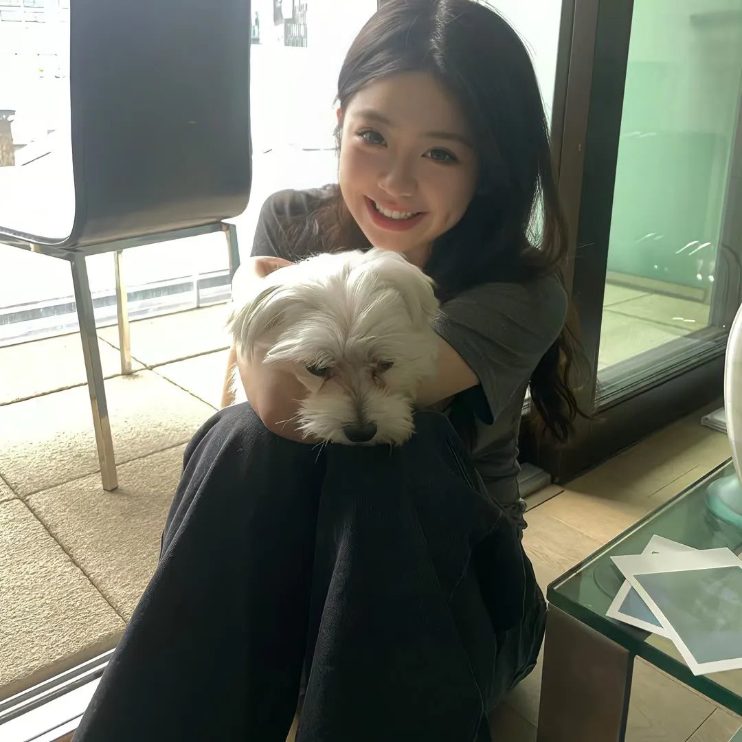 认识狗狗